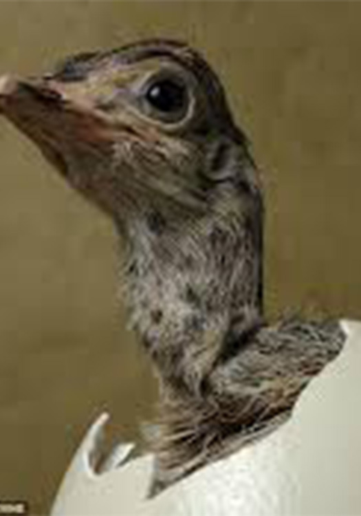 Curso Preparación para el mundo del trabajo